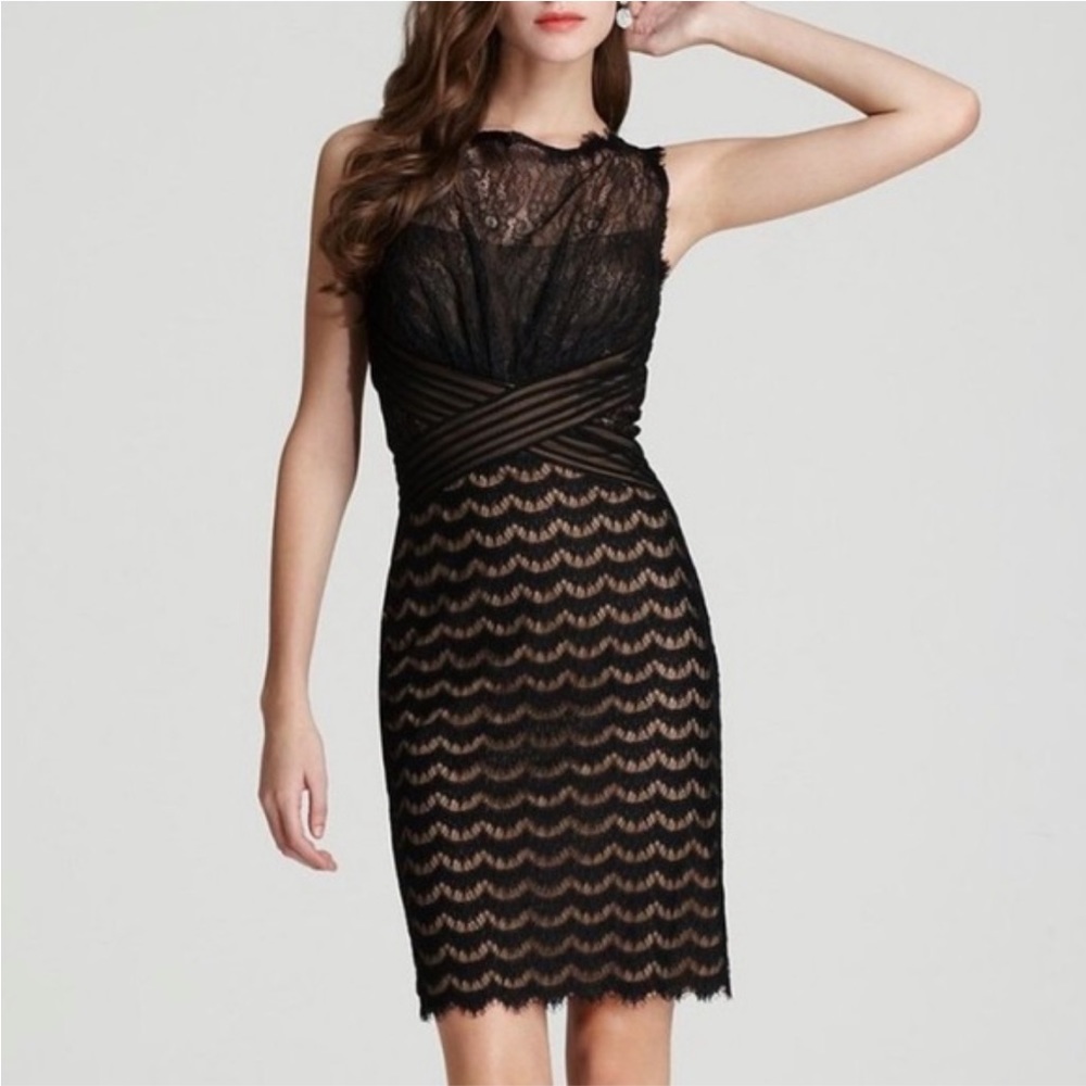 Tadashi Soji mixed lace scalloped dress